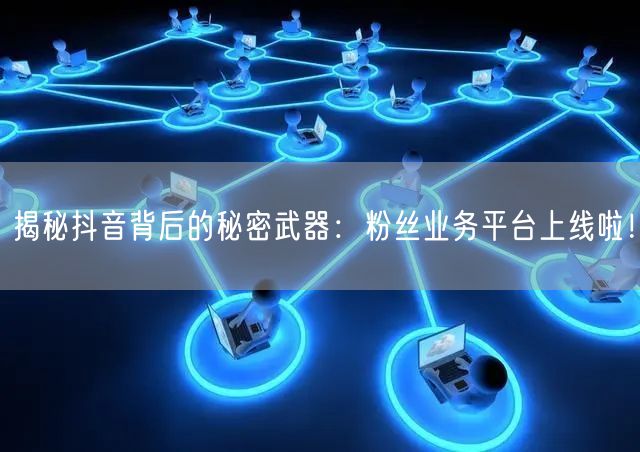 揭秘抖音背后的秘密武器：粉丝业务平台上线啦！