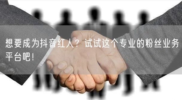 想要成为抖音红人？试试这个专业的粉丝业务平台吧！
