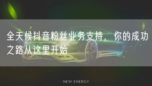 全天候抖音粉丝业务支持，你的成功之路从这里开始