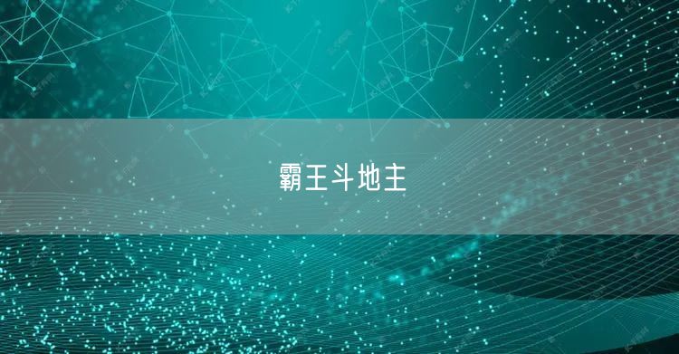 霸王斗地主