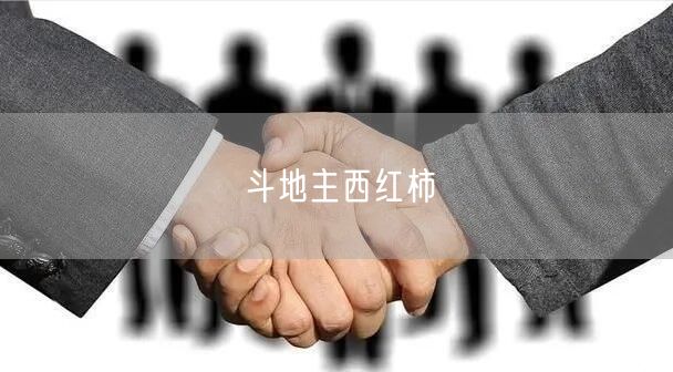 斗地主西红柿