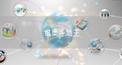 维奥斗地主